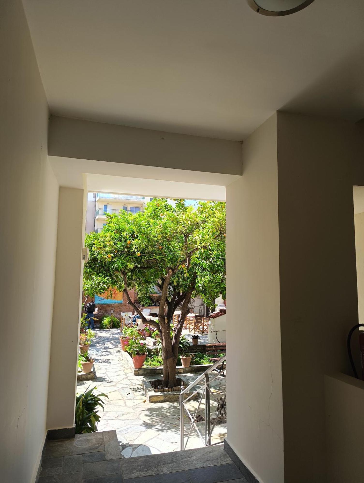 Anesis Hotel Λουτρά Αιδηψού Εξωτερικό φωτογραφία